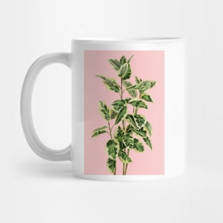 CModern House plant in pink 4, Abstract Plant Art Mug